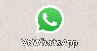 Download Apk YoWhatsapp