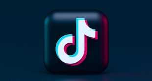 Download Video TikTok Tanpa Nama